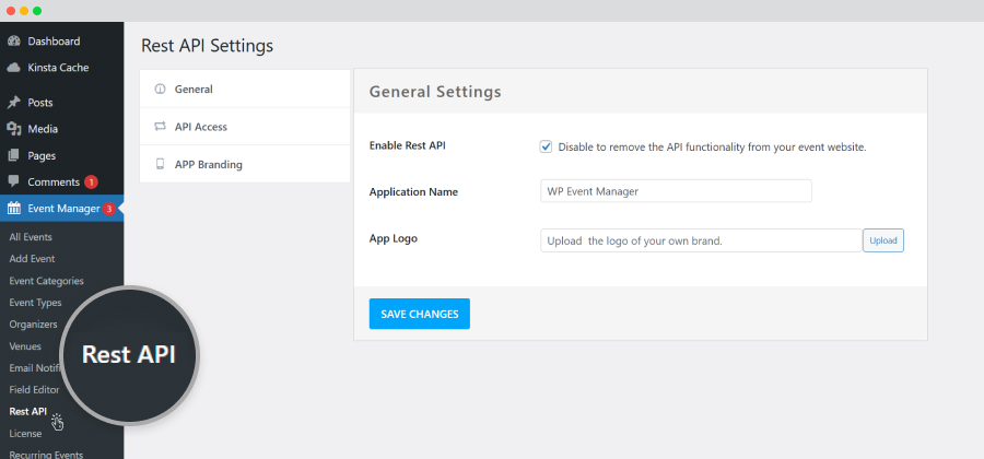 Rest Api General Settings Tab