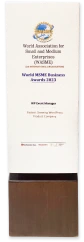 World MSME Business Awards 2023