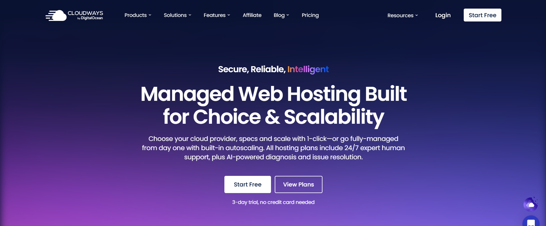 Cloudways Kinsta Hosting