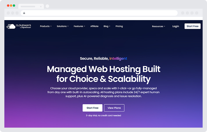 kinsta hosting