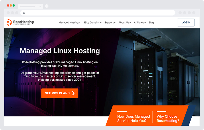 kinsta hosting