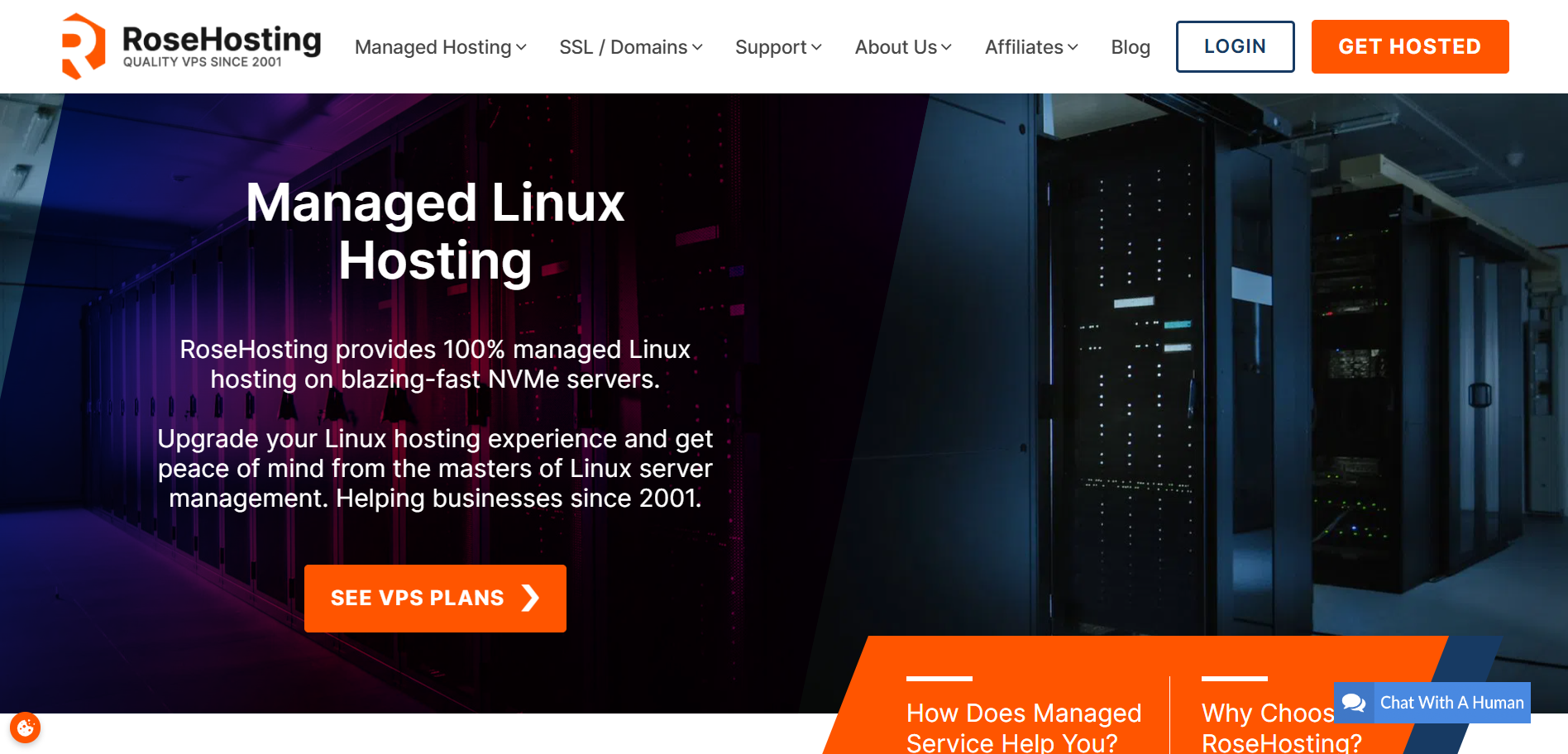 RoseHosting Kinsta Hosting