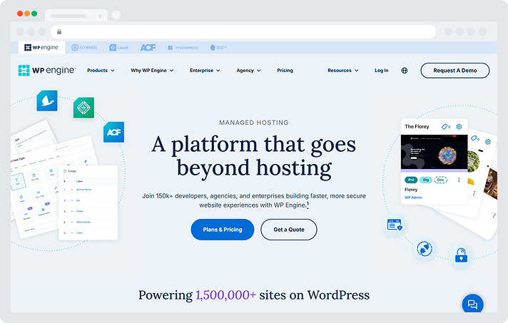 kinsta hosting