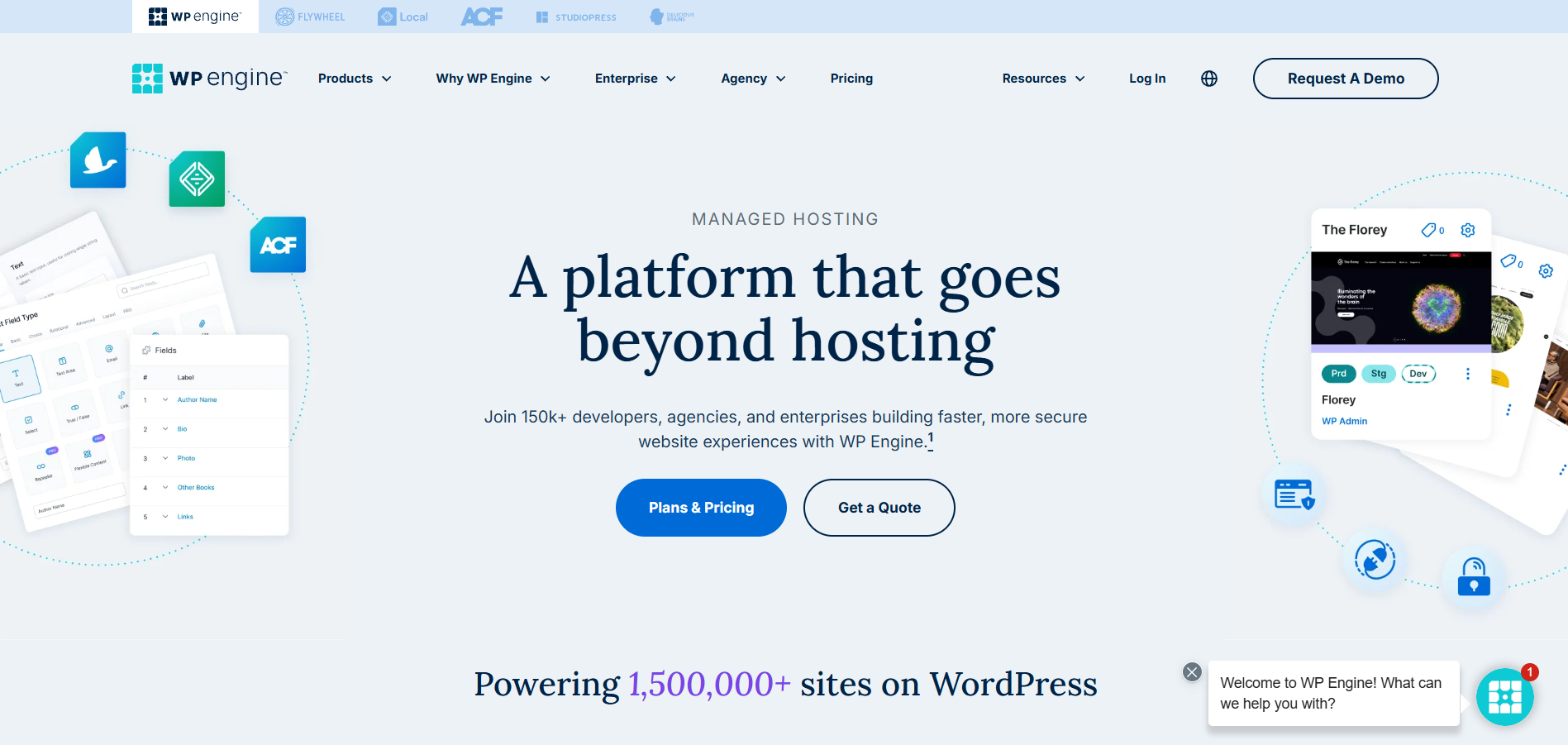 WP engine Kinsta Hosting